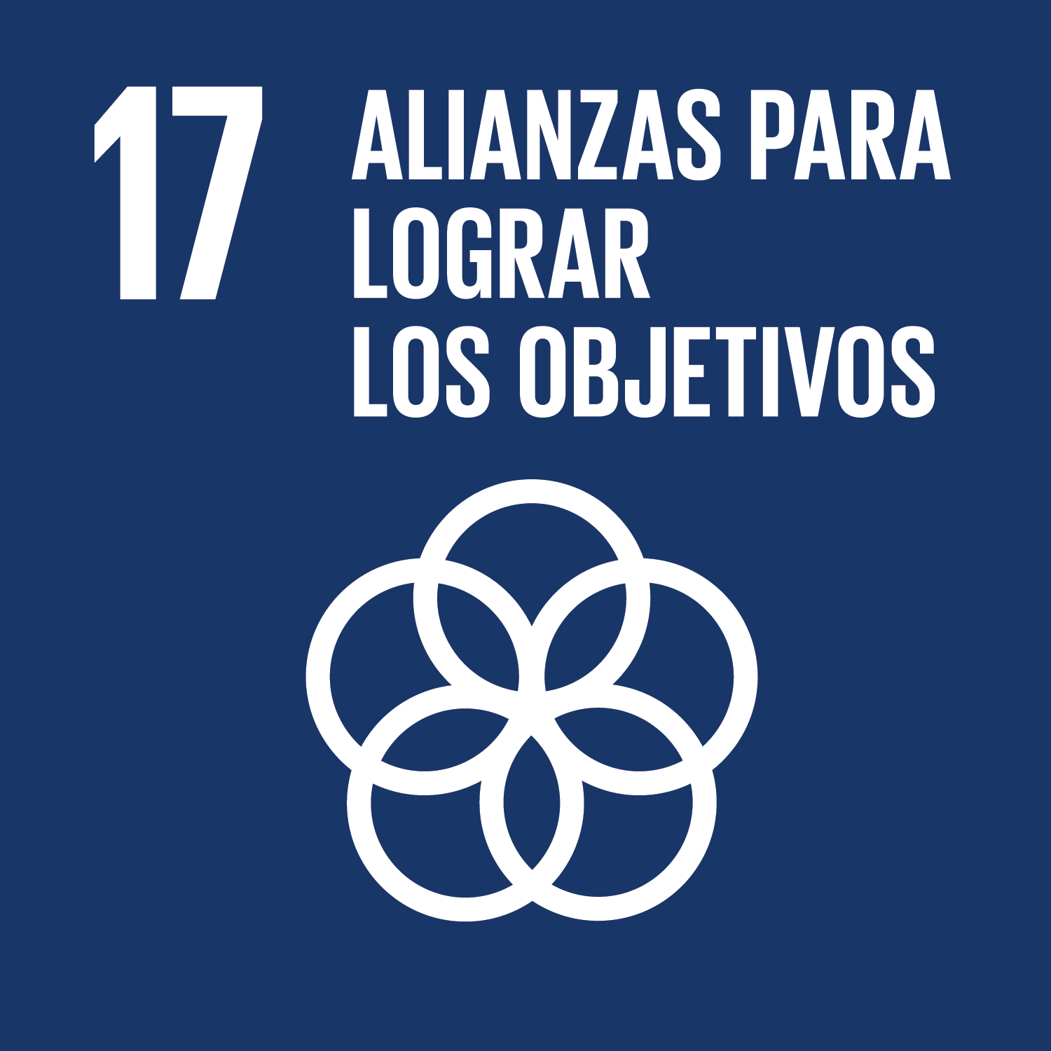 ODS Objetivo 17: Alianzas para lograr los objetivos